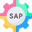 SAP Module Development